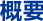 概要